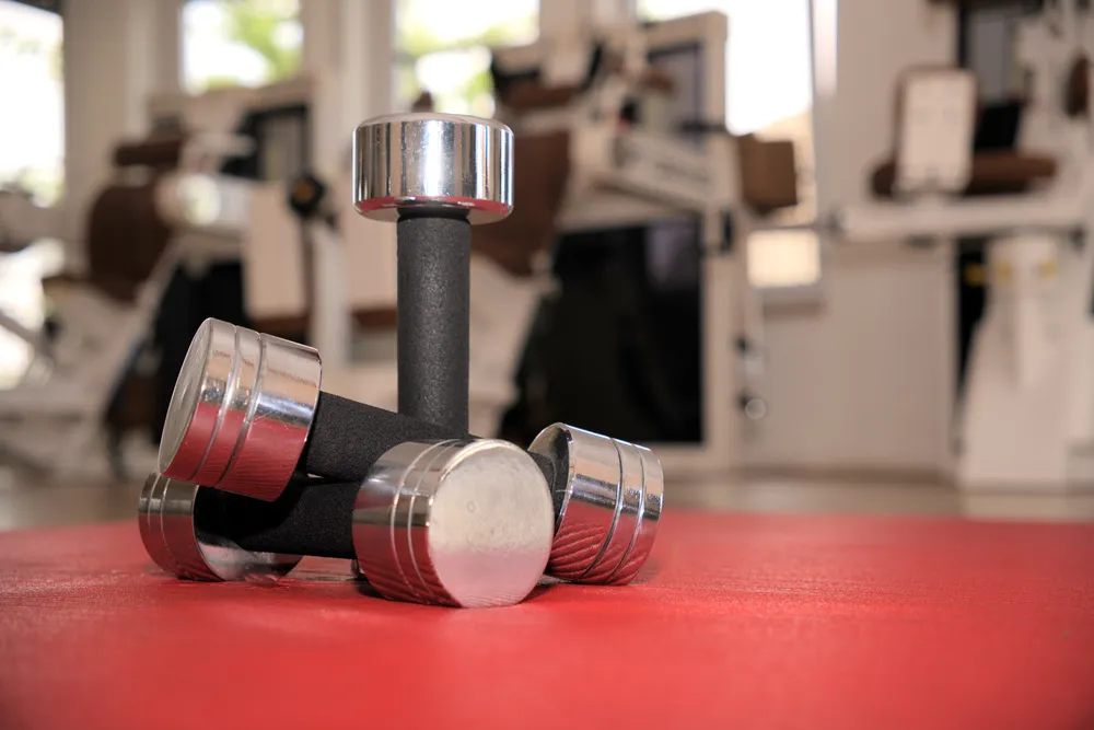Hanteln für das Kraft- und Aufbautraining